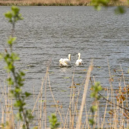 Apartament With A View - 2 Kruså