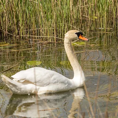 With A View - 2 Kruså