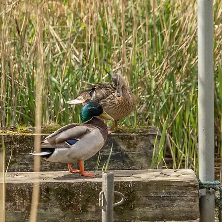 Apartament With A View - 2 *